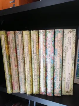 Lot de livres collection arc en ciel