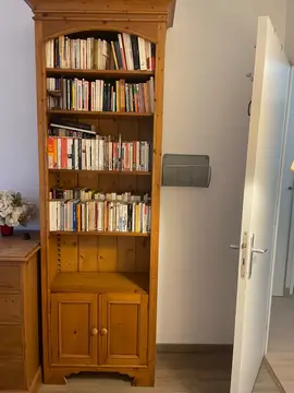 bibliothèque Interiors