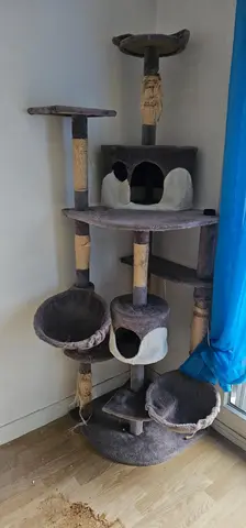 arbre à chat