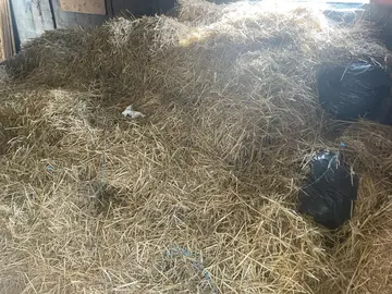 je donne de la paille