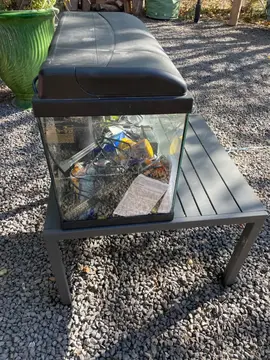Aquarium avec accessoires