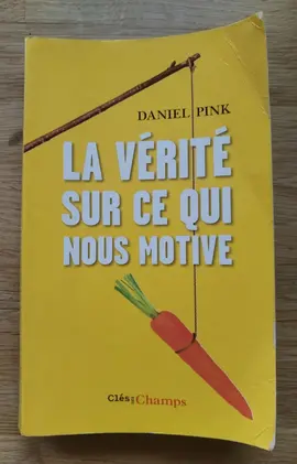 La vérité sur ce qui nous motive