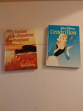 2 livres Walt Disney