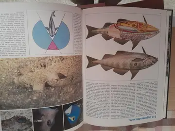 Collection Encyclopédie COUSTEAU