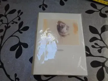 Album a photos lot de 2