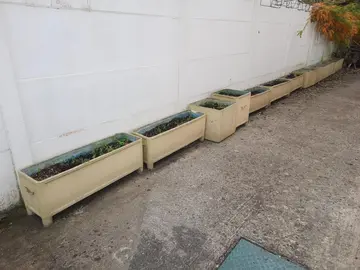 Donne Terreaux en vrac