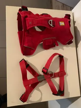 accessoires chien 20 kg