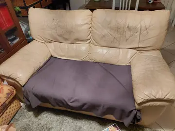Canapé cuir