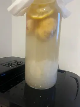 grains de Kefir d’eau