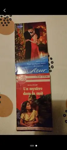 Lot de 2 romans de poche