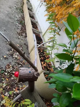 Donne Le Terreaux De Mes Bacs A Fleurs