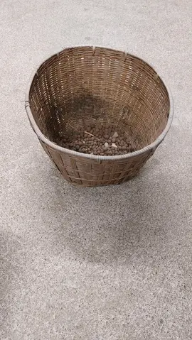 Corbeille pour plante