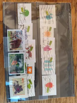 série environnement 2008 +++