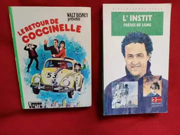 2 livres enfants : l'instit - la Coccinelle