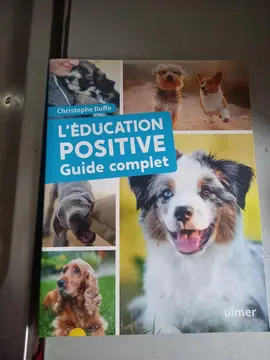 livre éducation positive