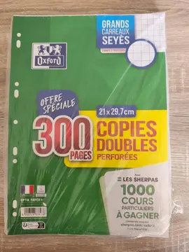 lot de 3 00 pages copies doubles perforées