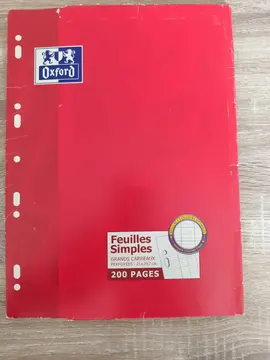 lot de 200 pages feuilles simples grand carreaux 21 29,7