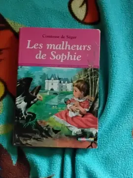 livre les malheur de Sophie