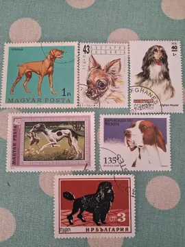 Lot Timbres CHIENS MONDE