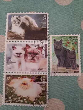 Joli lot Timbres CHATS