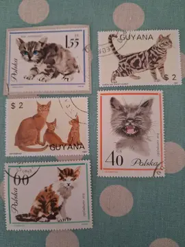 Joli lot Timbres CHATS