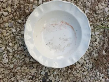 5 assiettes creuses en faience blanches