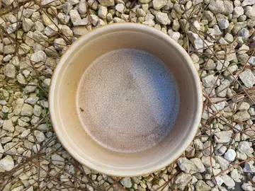 Moule à soufflé 15 cms