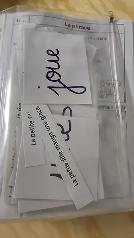 Classeur ressources enseignant français CE1 RSEEG