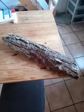 Écorce bois