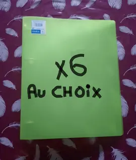 Classeur plastique VERT A4 à 4 anneaux (x6)