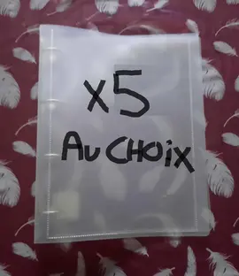 Classeur plastique BLANC A4 à 4 anneaux (x5)