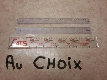 Règle plastique 30 cm (x3)