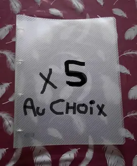 Classeur plastique fin BLANC A4 à 4 anneaux (x5)