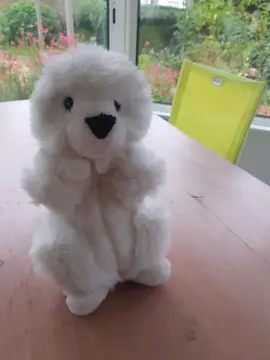 peluche marmotte blanche