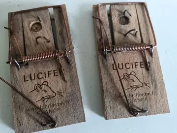 pièges pour souris