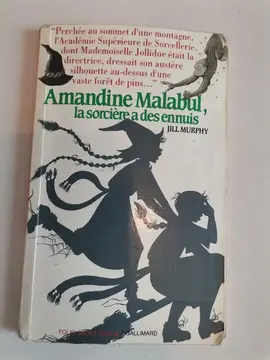 Roman illustré jeunesse