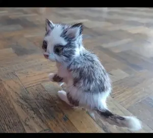 Diverses décorations