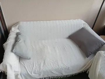 Deux canapés + coussins