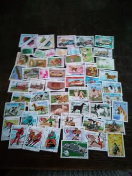 Lot de timbres du Cambodge