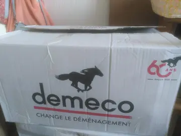 cartons de déménagement