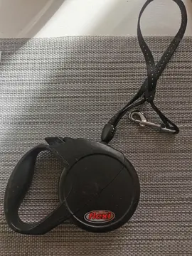 Peignes et laisses dérouleurs pour chien