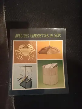 livre de bricolage avec du bois très bon état