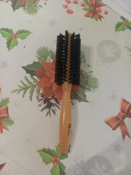 brosse en poiles de sanglier