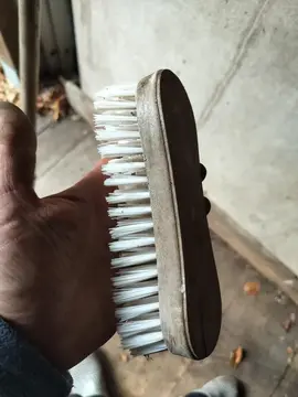 brosse de nettoyage