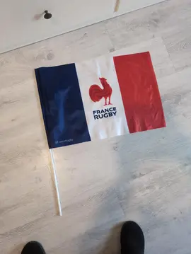 drapeau rugby France