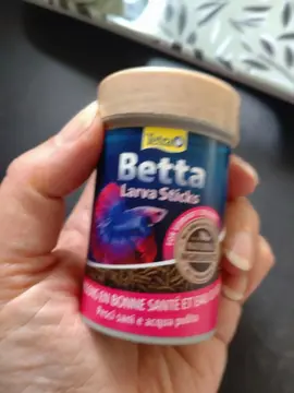 nourriture pour poisson Betta (combattant)