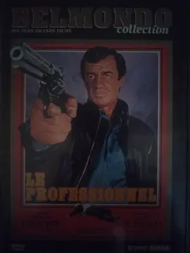 DVD Le Professionnel