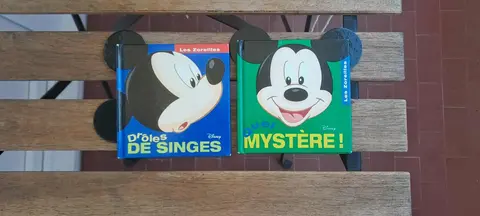 Mini Livres Mickey