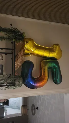 a donner deco pour anniversaire 15ans banderole + ballons