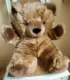 Ours en peluche de 50 cm